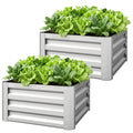 2Pcs 2' x 2' x 1' Galvanized Raised Garden Bed Kit, Square Outdoor Metal Planter Box with Open Bottom for Vegetables, Flowers, Herbs, Silver