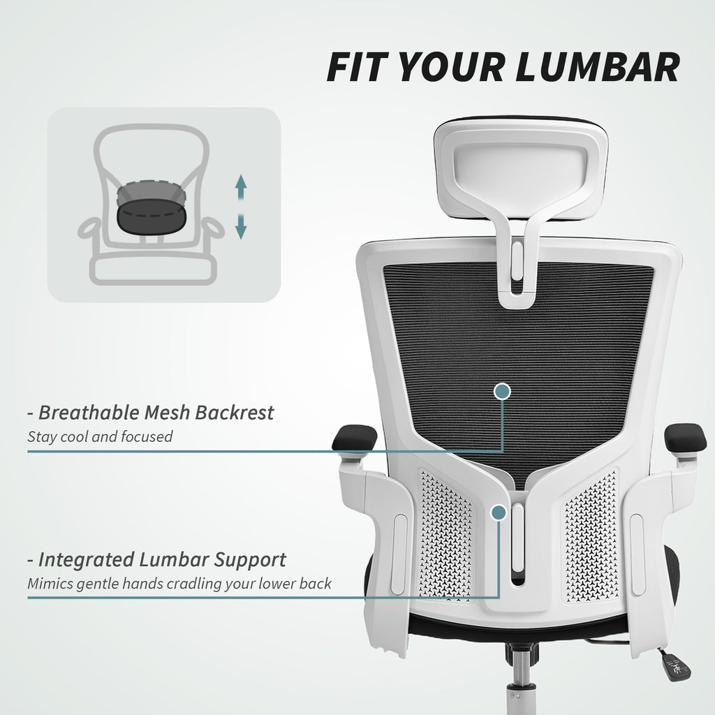 Ergonomic Office Chair, Swivel Desk Chair with Adjustable Lumbar Support, Headrest and Height, Flip-up Armrests, Grey