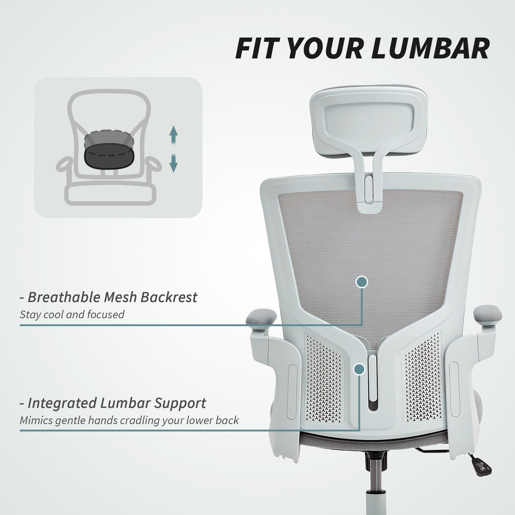 Ergonomic Office Chair, Swivel Desk Chair with Adjustable Lumbar Support, Headrest and Height, Flip-up Armrests, Grey