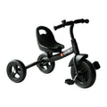 ቃባ ናይ ቆልዑ ትራይሲክል ንደቂቕ ዕድሚኦም ካብ 18 ወርሒ ንላዕሊ፣ ኣብ ገዛን ደገን ዝጥቀሙሉ ናይ ቆልዑ ትራይክ ንወዲን ጓልን ልደት