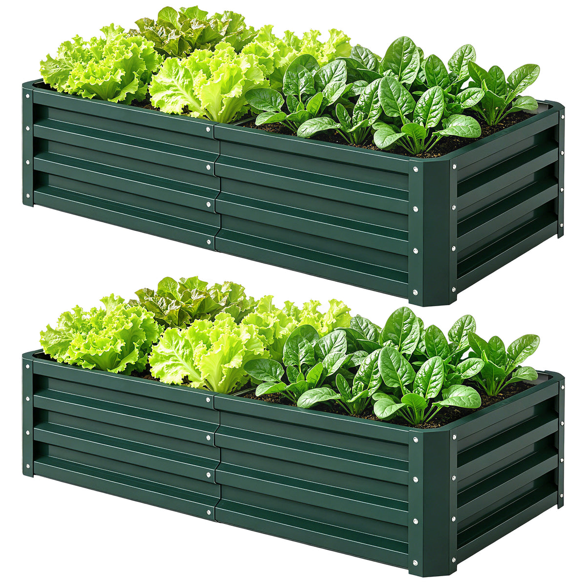 أحواض زراعة مرتفعة 4' × 2' × 1'، مجموعة من 2 وعاء زراعة مجلفن للخضروات، والزهور، والأعشاب، والنباتات الخضراء