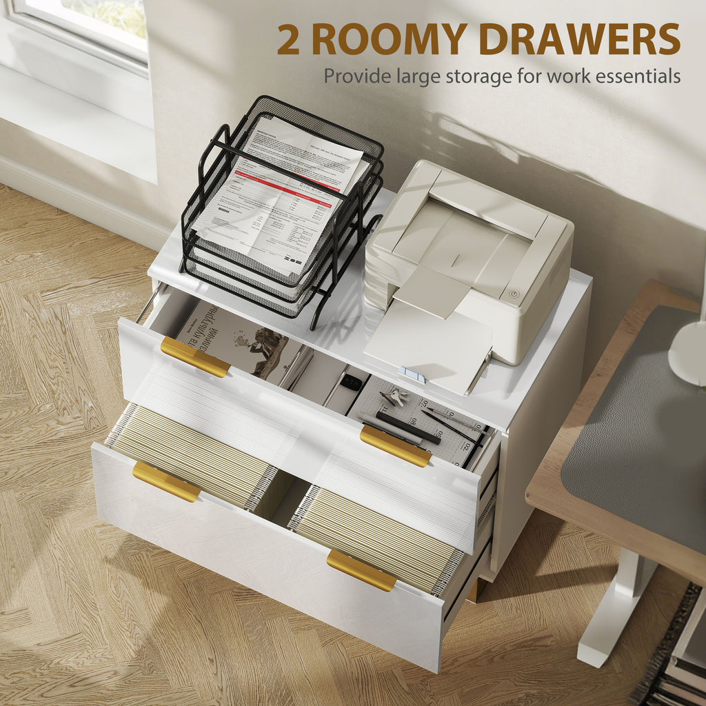 Lateral File Cabinet with 2 Drawers, Modern Filing Cabinet for Letter/A4/Legal Size Files, High Gloss Black