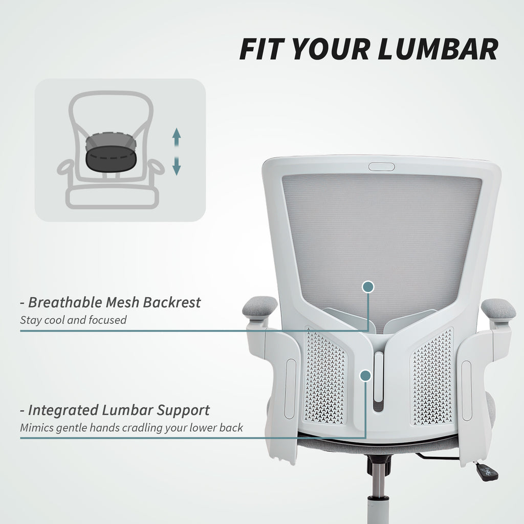 Ergonomic Office Chair, Swivel Desk Chair with Adjustable Lumbar Support and Height, Flip-up Armrests, Wheels, Grey