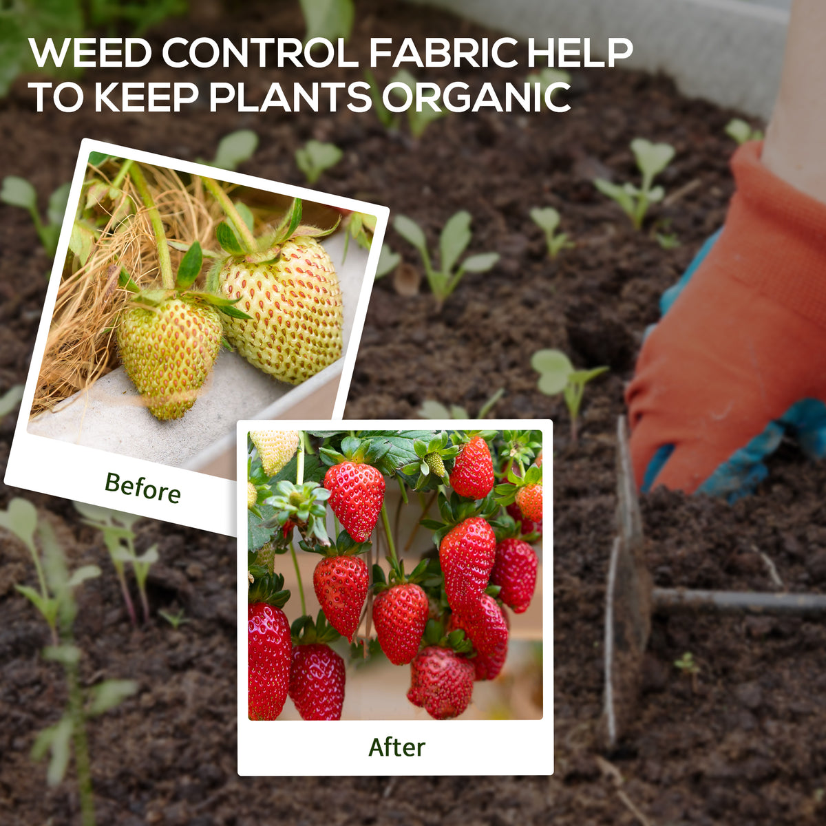 3ft x 300ft Weed Barrier, Landscape Fabric, for Greenhouse Yard Garden Weed Control, Heavy-Duty & Easy Setup, 2oz