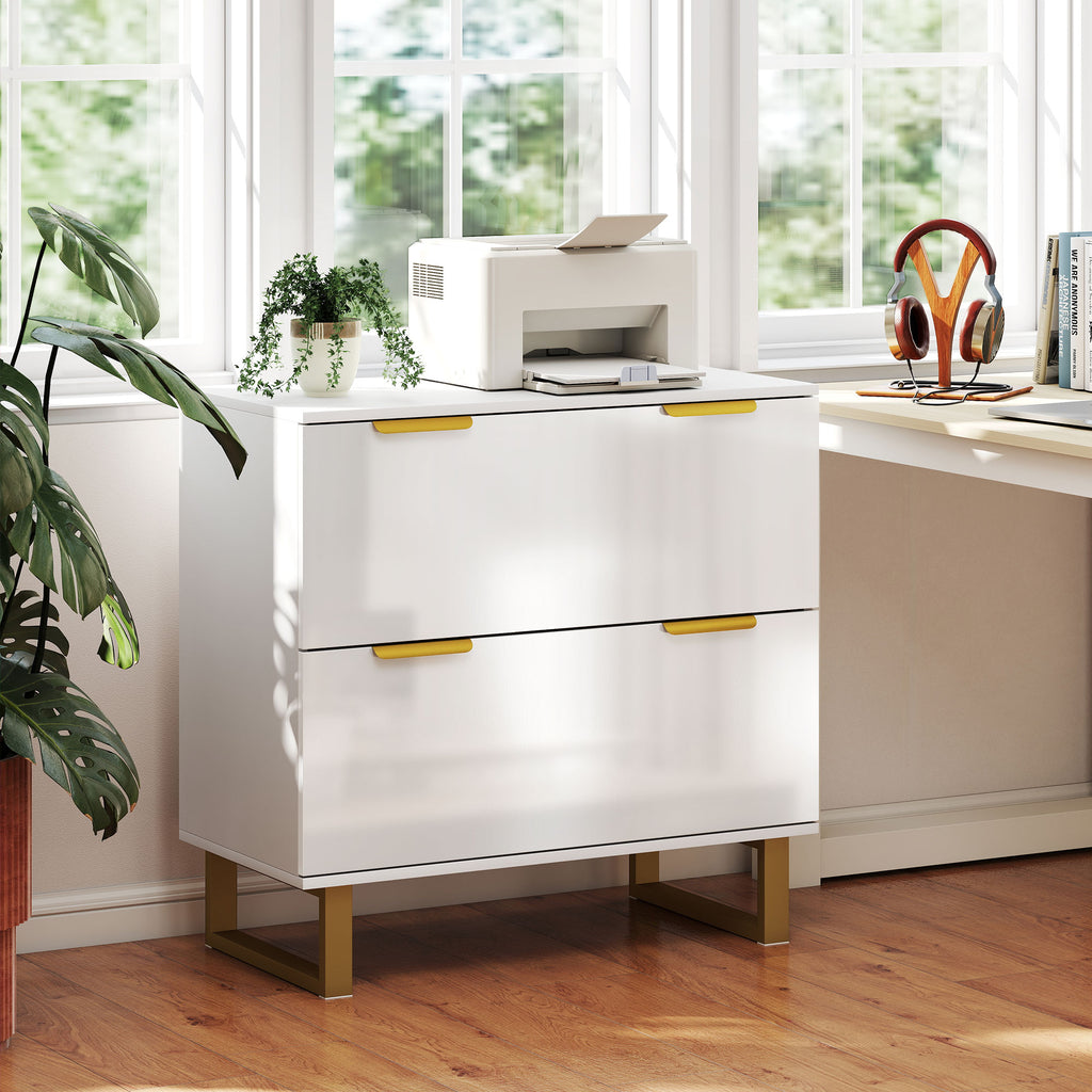Lateral File Cabinet with 2 Drawers, Modern Filing Cabinet for Letter/A4/Legal Size Files, High Gloss Black