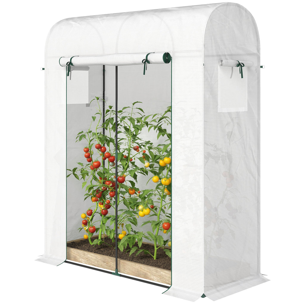 Mini Greenhouse, Portable Garden Green House with Roll-up Door and Mesh Windows, 6' x 2' x 6.6', Green