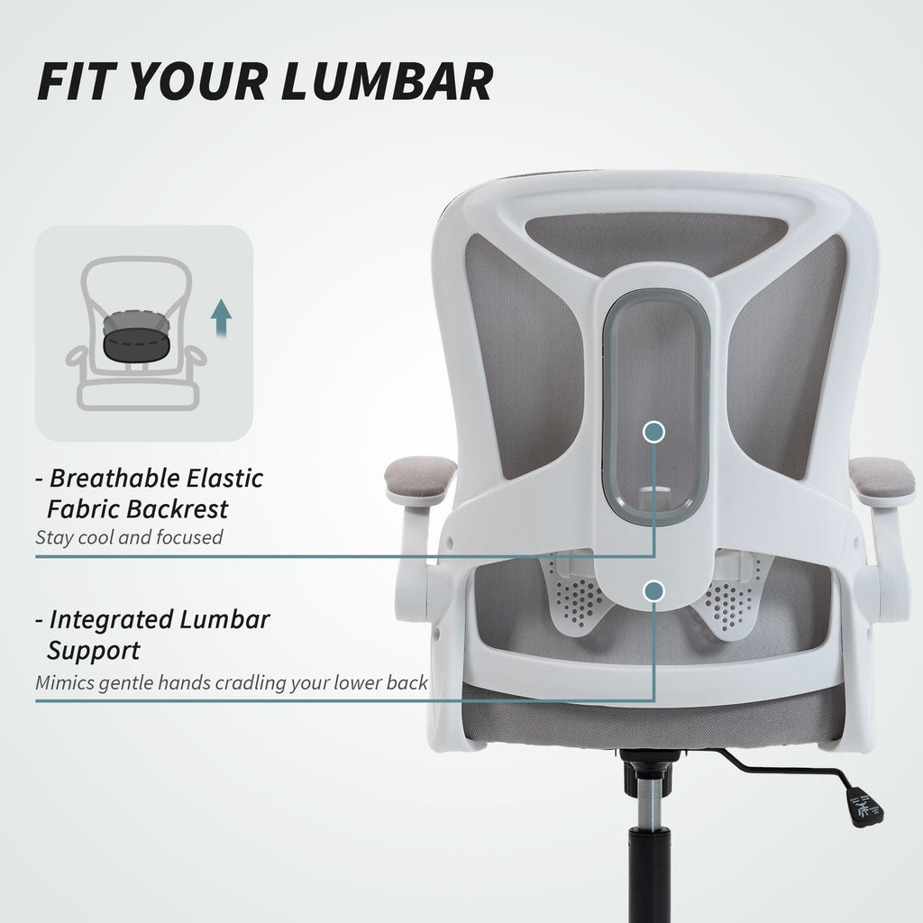 Ergonomic Office Chair, Swivel Desk Chair with Adjustable Lumbar Support and Height, Flip-up Armrests, Wheels, Grey