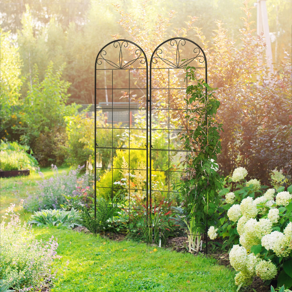 Variant Color