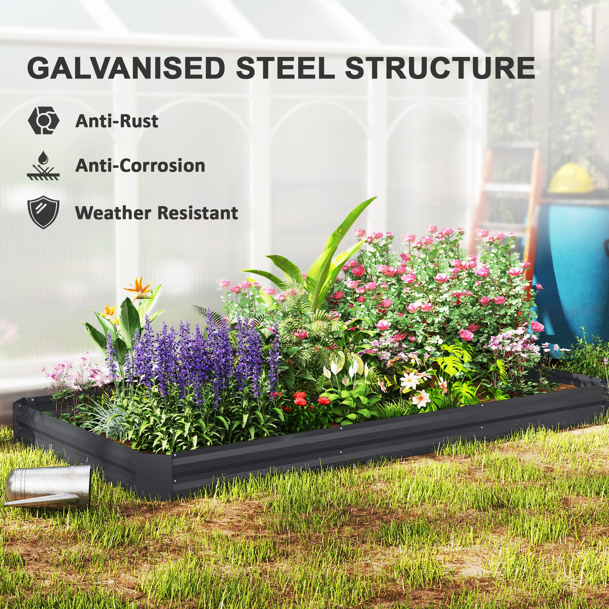 ከፍ ዝበለ ዝተለበጠ ዓራት ሓሸላ፡ 8' x 4' x 1' ሓጺን ተኸላ ሳንዱቕ፡ ንደገ ዓዲ ሓሸላ ሳንዱቕ ክፉት ታሕቲ ዘለዎ ንዕምባባ፡ ቀጥቃጥ፡ ኣሕምልቲ