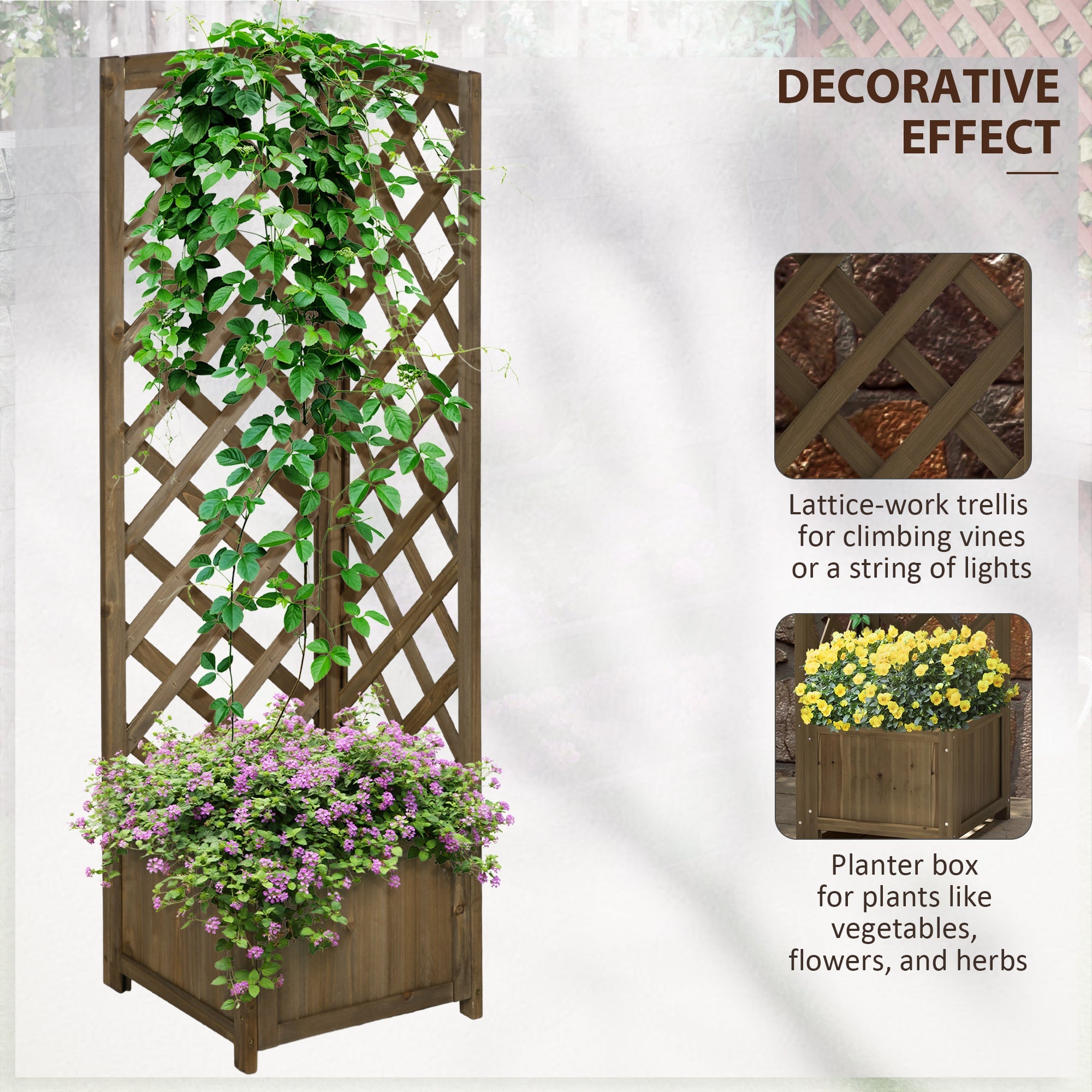 Variant Color