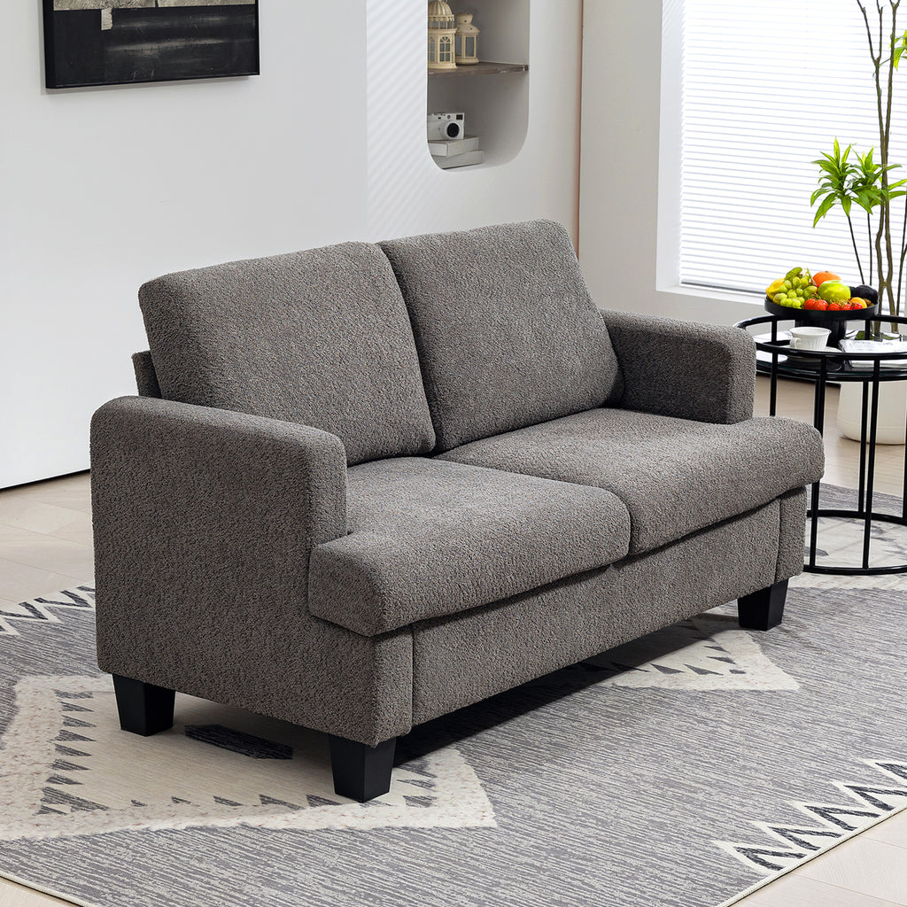54.3" Loveseat Sofa, 2 Seater Sofa with Removable Cushions, Small Couch with Solid Wood Frame for Living Room, Dark Grey