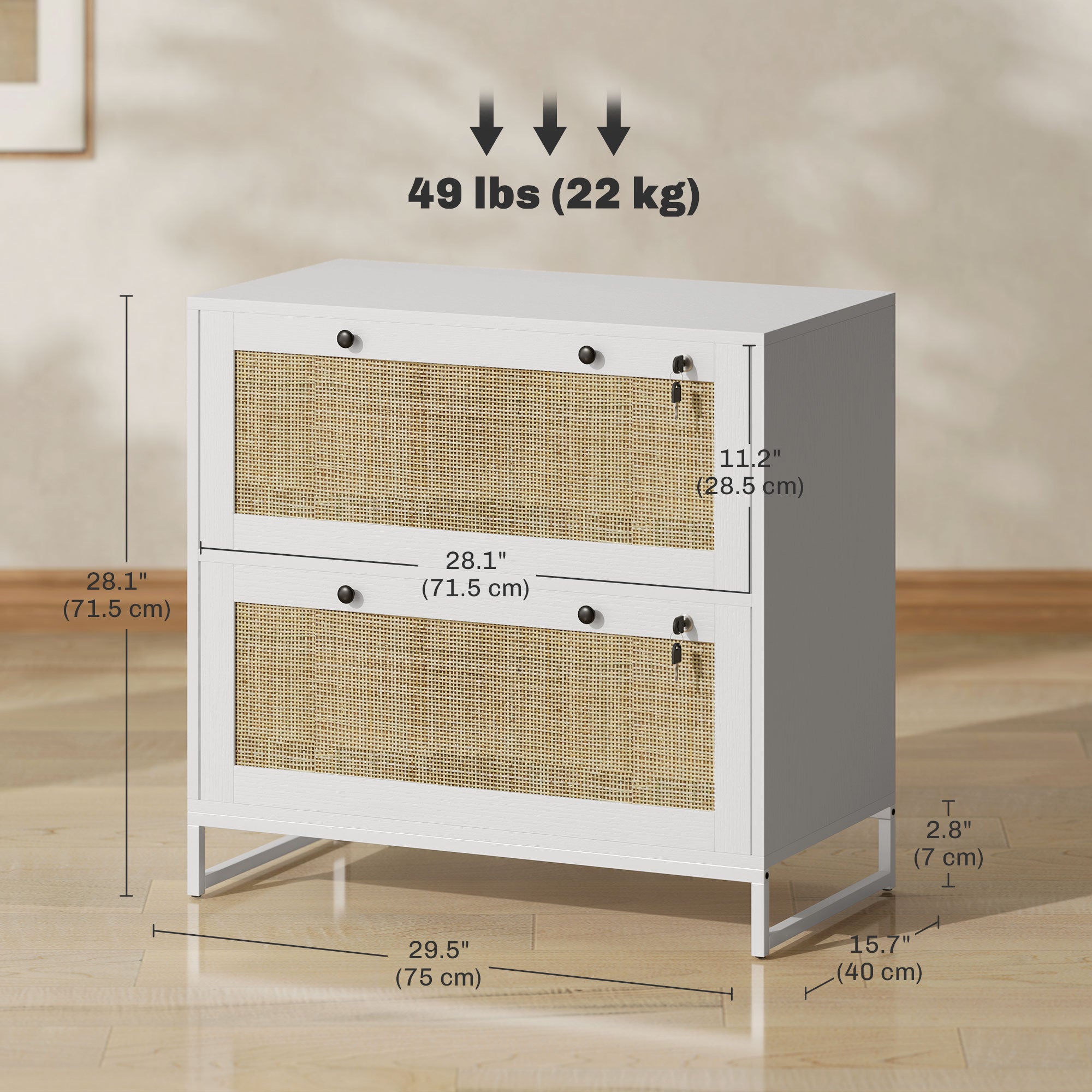 2-Drawer Filing Cabinet with Lock, Rattan File Cabinet with Adjustable Hanging Bar, Black