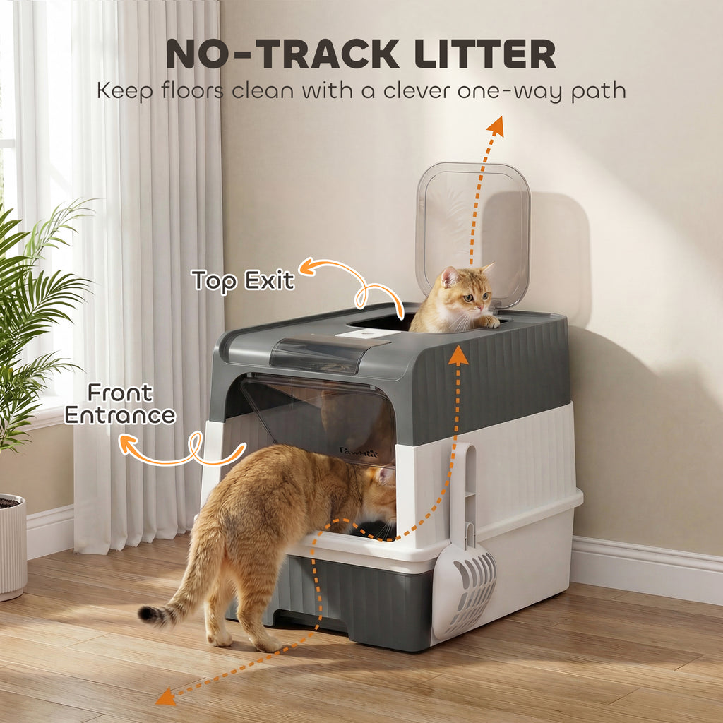Variant Color